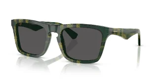 412587 Check Green