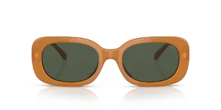 Coach Sunglasses HC8358F