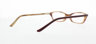 Polo Eyeglasses PP8501