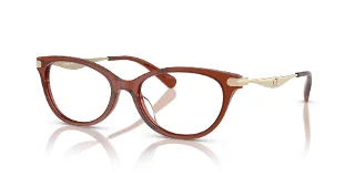 5847 Transparent Brown