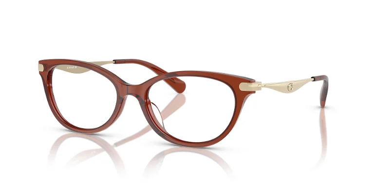 Coach Eyeglasses HC6245U