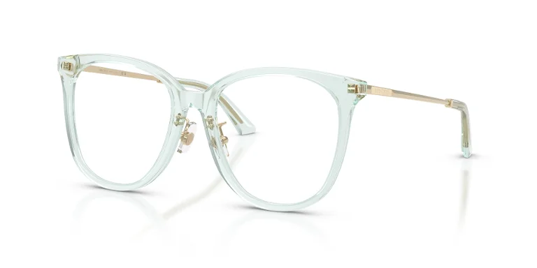 Jimmy Choo Eyeglasses JC3060F