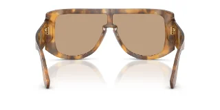 Dolce & Gabbana Sunglasses DG4565