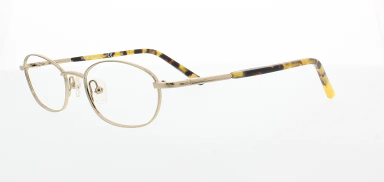 Polo Eyeglasses PP8010