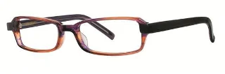 Vera Wang Eyeglasses V300