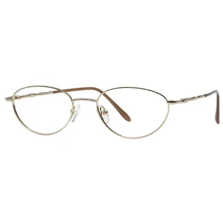 Stylewise Eyeglasses SW411