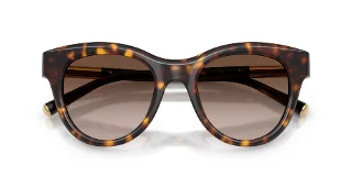 Dolce & Gabbana Sunglasses DG4518