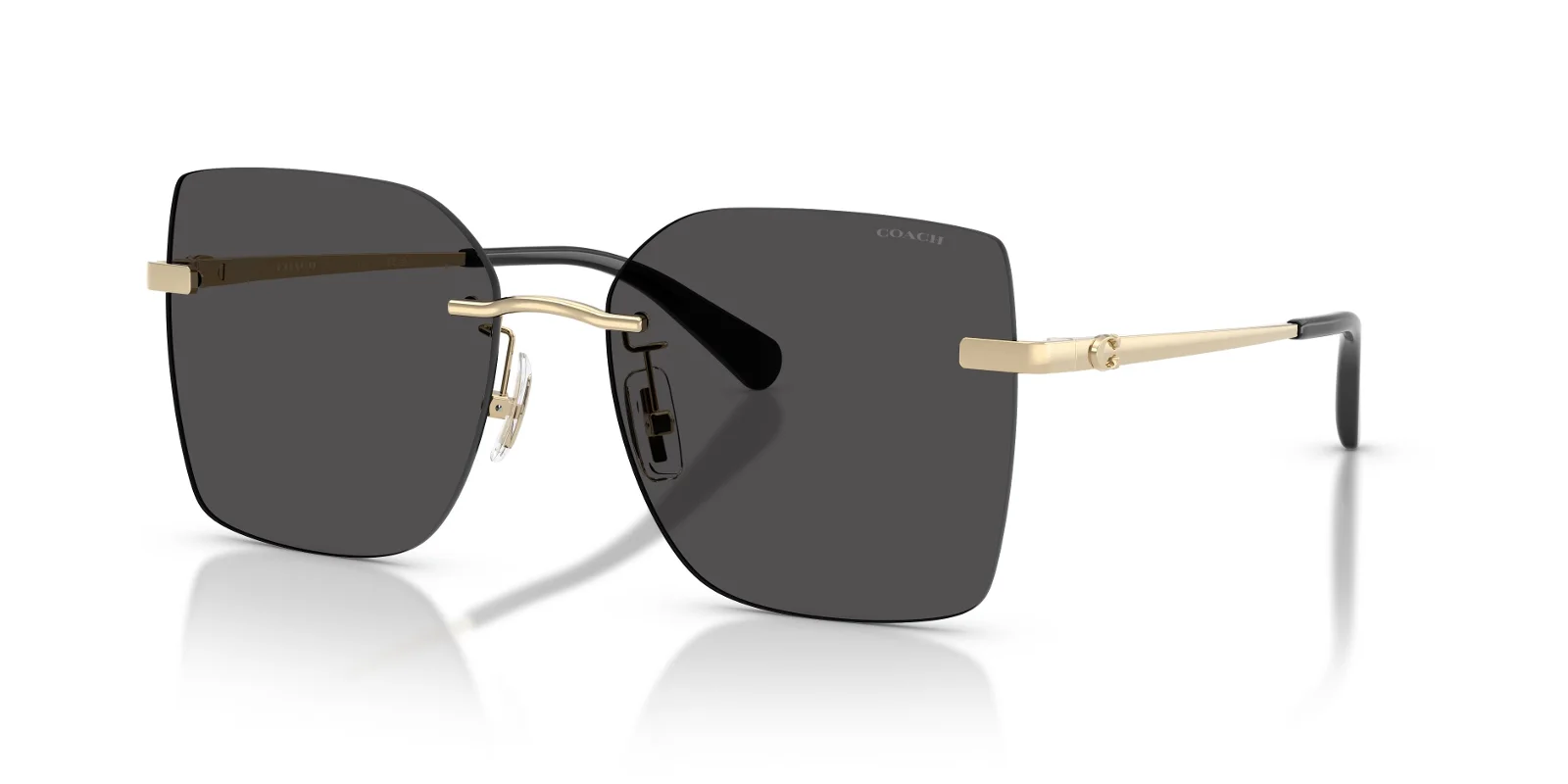 Coach Sunglasses HC7193D