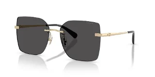 Coach Sunglasses HC7193D
