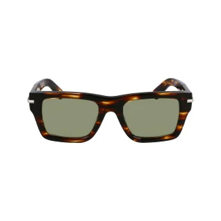 Salvatore Ferragamo Sunglasses SF2033S