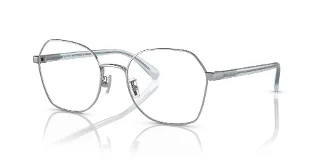 9001 Shiny Silver
