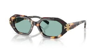 207282 Dark Tortoise