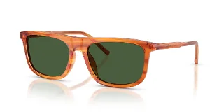 348371 Camel On Striped Ginger