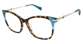C02 Tortoise/Teal