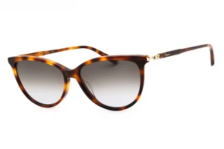 Salvatore Ferragamo Sunglasses SF2870SCP
