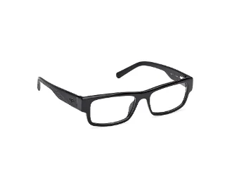 Harley Davidson Eyeglasses HD50111