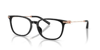 Coach Eyeglasses HC6312D