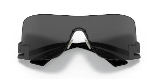 Versace Sunglasses VE2240