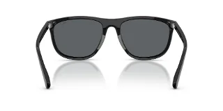 Polo Sunglasses PH4231U