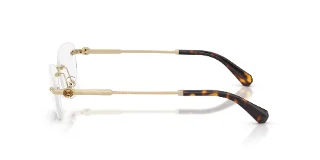 Swarovski Eyeglasses SK1037