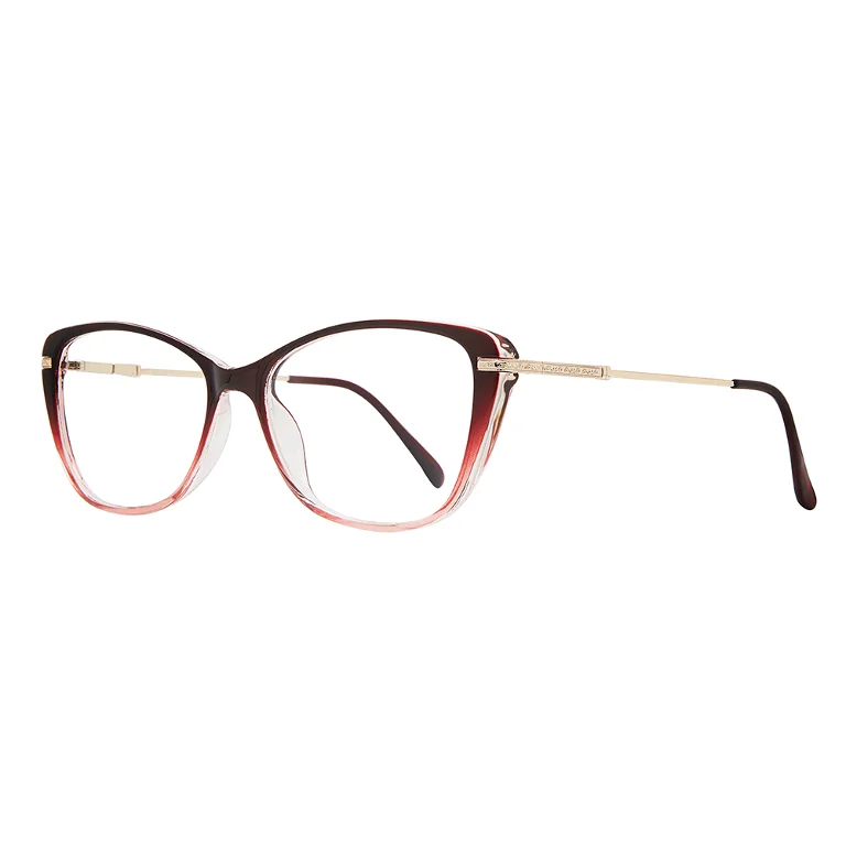 Stylewise Eyeglasses SW454