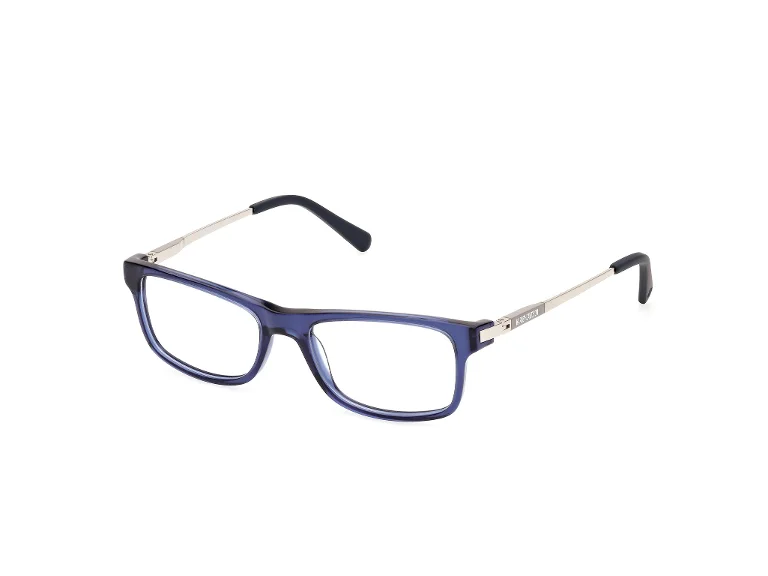 Harley Davidson Eyeglasses HD0143T