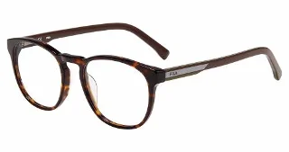 Tortoise (0722)