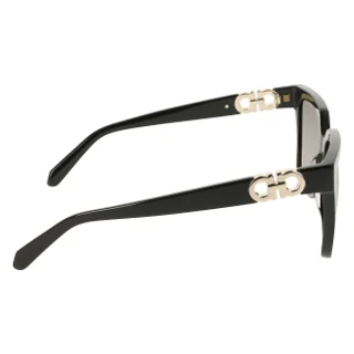 Salvatore Ferragamo Sunglasses SF2109S