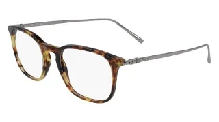 219 Dark Tortoise