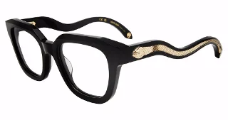 Black (0700)
