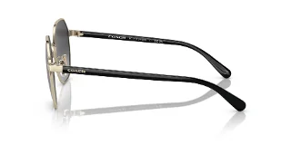 Coach Sunglasses HC7147