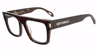 Just Cavalli Eyeglasses VJC120