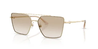Jimmy Choo Sunglasses JC4016HB