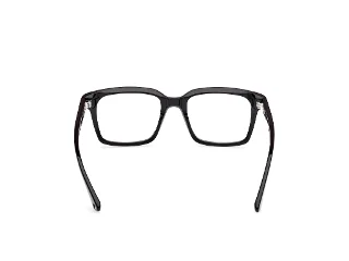 Web Eyeglasses WE5452