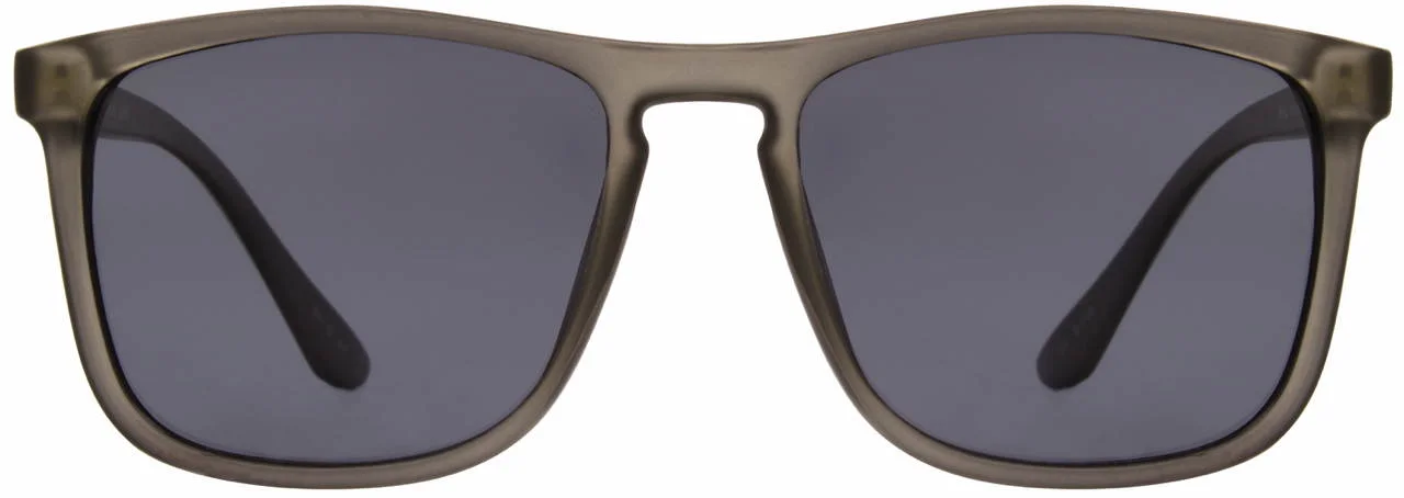 INVU Sunglasses INVU-146
