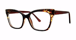 Modern Plastics I Eyeglasses OBTAIN