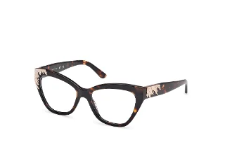 052 Dark Havana/Dark Havana