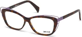 053 Blonde Havana