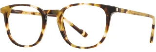 C02 Tortoise