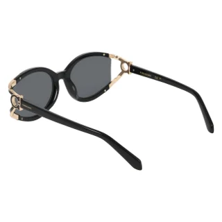 Salvatore Ferragamo Sunglasses SF2111S