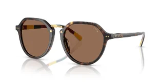 621273 Shiny Dark Havana