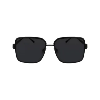 Salvatore Ferragamo Sunglasses SF317S