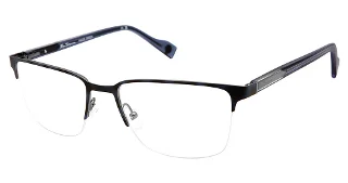 C03 BLUE TORTOISE