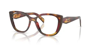 22A1O1 Poppy Tortoise/Bordeaux