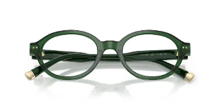 Polo Eyeglasses PH2305F