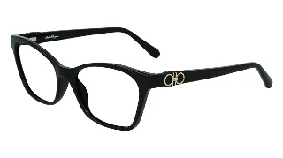 Salvatore Ferragamo Eyeglasses SF2902