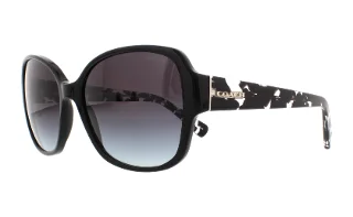 Coach Sunglasses HC8166 L154