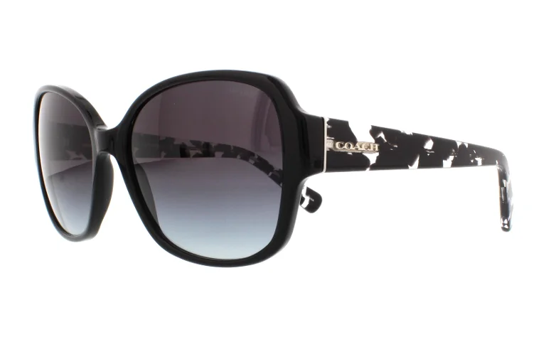 Coach Sunglasses HC8166 L154