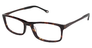 C02 Brown Tortoise