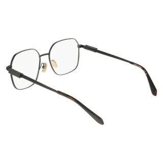 Salvatore Ferragamo Eyeglasses SF2239